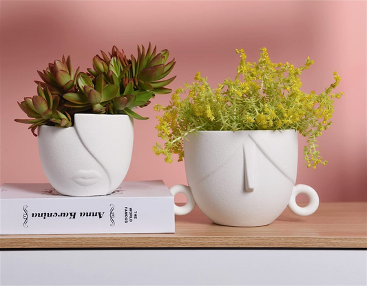 2 Piece Face Flower Plant Pots on shelf