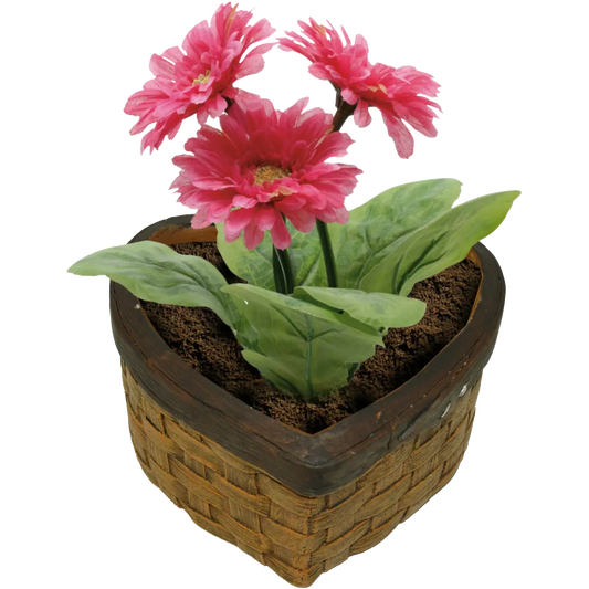 Heart Flower Plant Pot